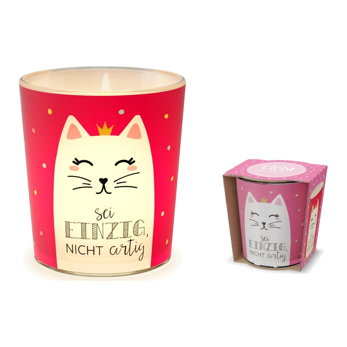 Licht D6H6 Katze – Licht von la vida