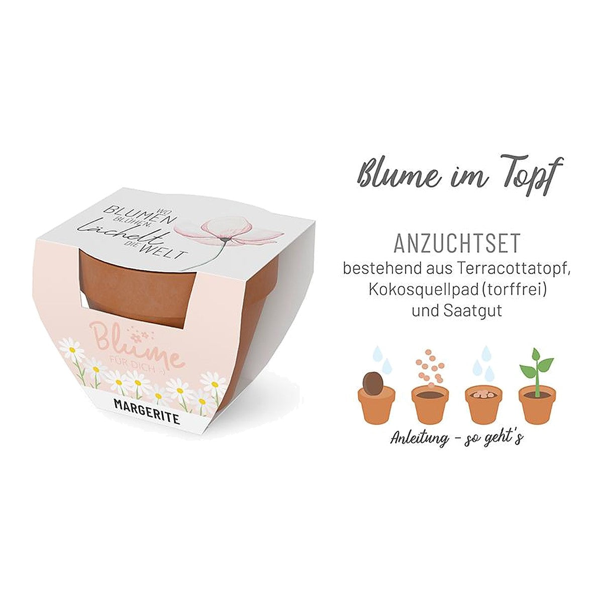 Blume FD D5,5H5 Blüte – Blume von la vida