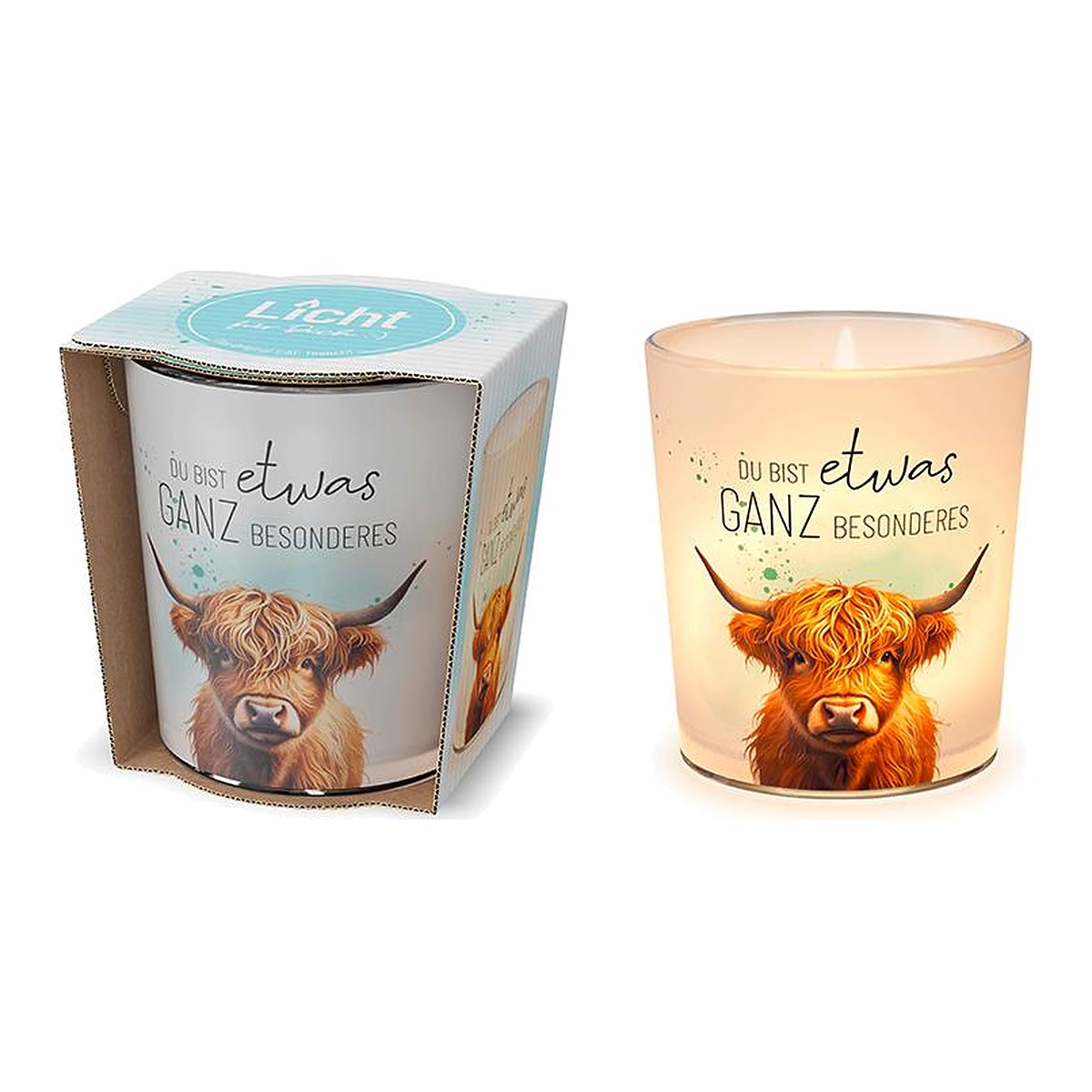Licht D6H6 Rind – Licht von la vida