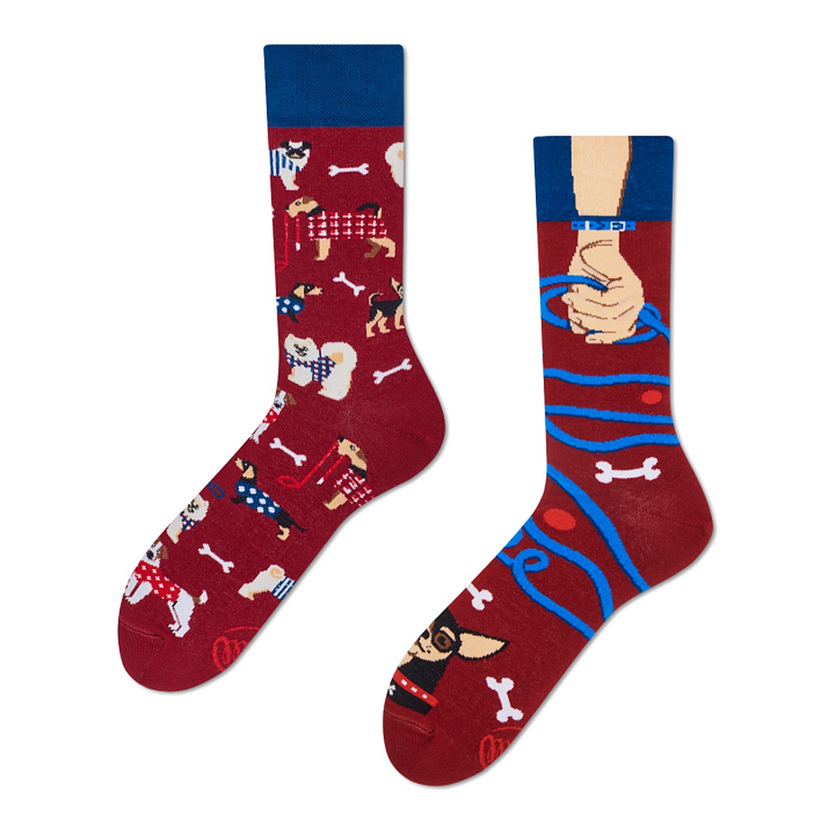 Many Mornings Socken Walkie Doggie – bunte Socken von Many Mornings