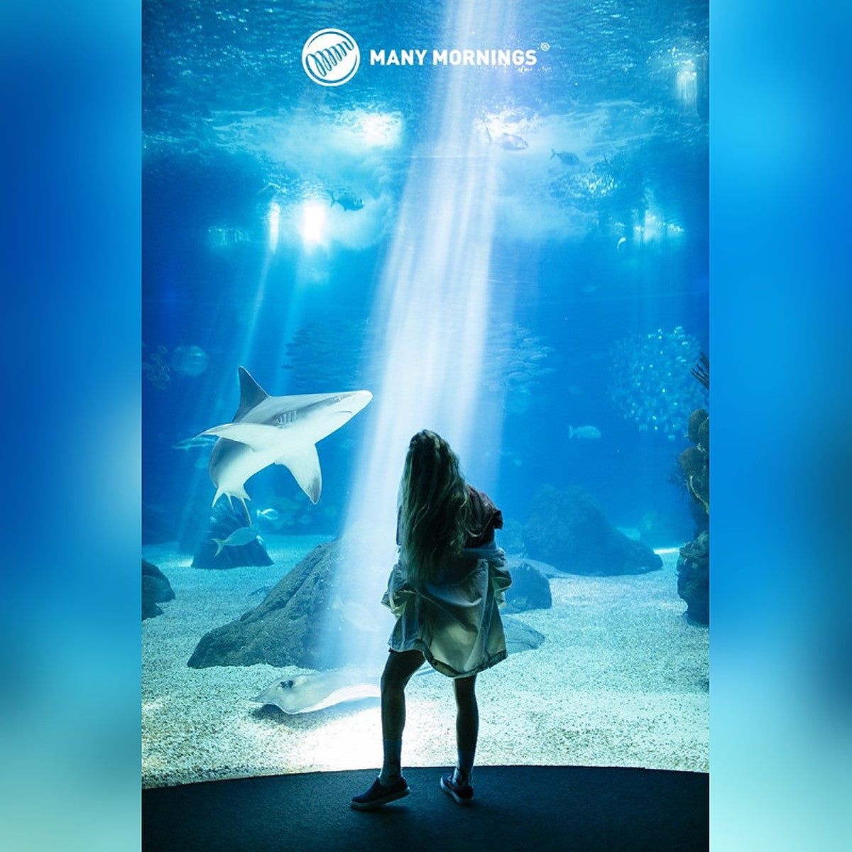 Many Mornings Socken Ocean Life – Ansicht 3