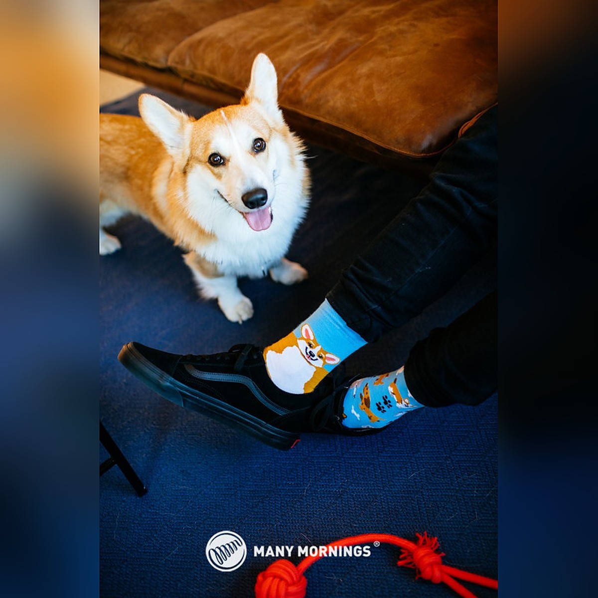 Many Mornings Socken Playful Dog – Ansicht 2