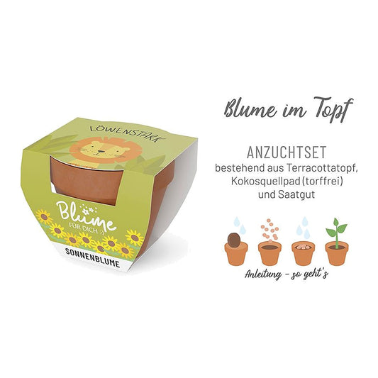 Blume FD D5,5H5 Löwe – Blume von la vida