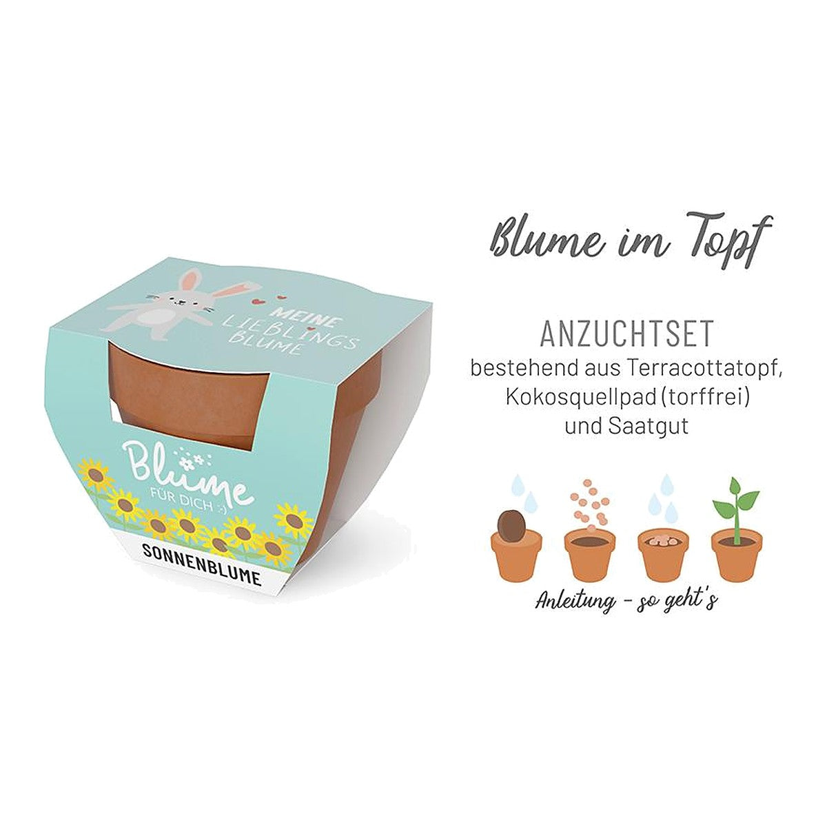 Blume FD D5,5H5 Hase – Blume von la vida