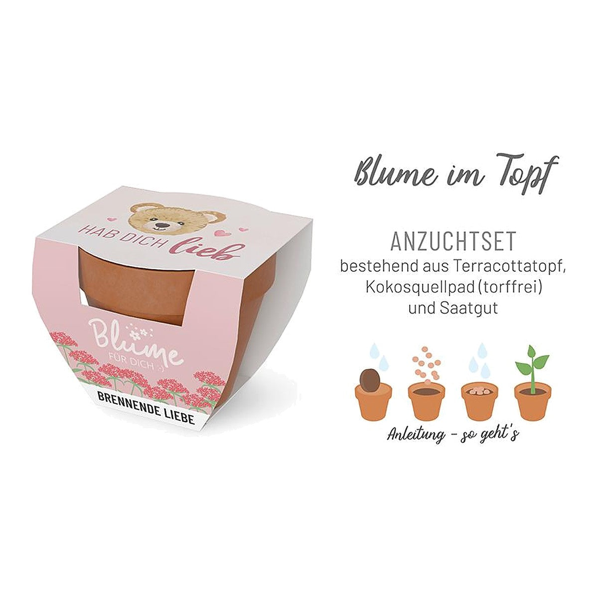 Blume FD D5,5H5 Teddy – Blume von la vida