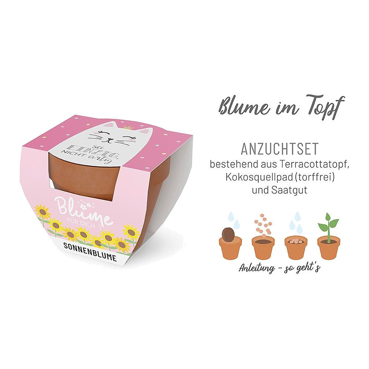 Blume FD D5,5H5 Katze – Blume von la vida