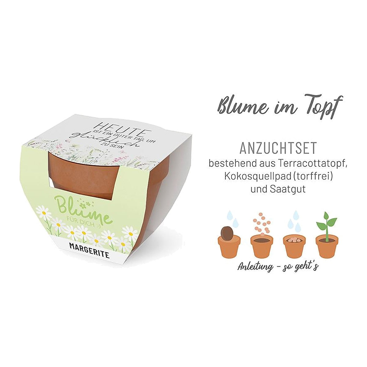 Blume FD D5,5H5 Wiese – Blume von la vida