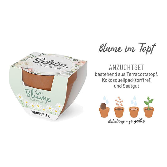 Blume FD D5,5H5 Blumen – Blume von la vida