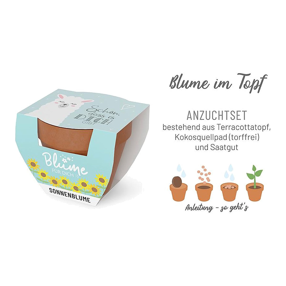 Blume FD D5,5H5 Lama – Blume von la vida